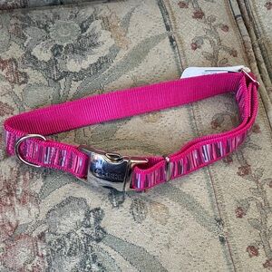 🧡 dog collar